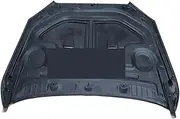 MS CARBON FIBER HOOD Compatible For BENZ S-CLASS W222 S63 2014-2018
