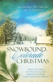 SNOWBOUND COLORADO CHRISTMAS: ALMOST HOME/FIRES OF By Susan Page Davis & Tamela