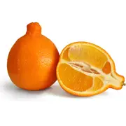 Tangelo Minneola each