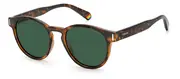 POLAROID-PLD 6175/S-86-5119-SUNGLASSES