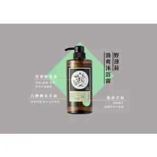 【tsaio上山採藥】茶洗沐系列/男性系列 頭皮護理 洗髮精 洗髮露 洗髮乳/沐浴露 沐浴乳600ml/洗手乳300ml