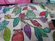 1 Pottery Barn Teen Who's Hoo standard sham owl New