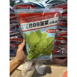 原包裝 1磅 今年新籽！888菠菜 888波菜種子 888菠菜種子 888波菜 波菜種子 菠菜種子 888 888菠菜子