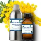 PURE MIMOSA ABSOLUTE Acaica Mirensi NATURAL HERBAL FRAGRANCE AROMA