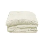 Micro Plush Blanket Cream Single
