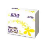 五月花 高效導水摺疊擦手紙-精巧版200抽X20包