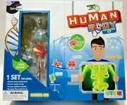 Spice Box Science Lab Human Body Exploration Kit 1 Set Hands-On 10595