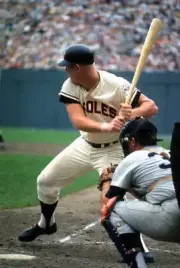 Baltimore Orioles Boog Powell At Bat 1964 Old Baseball Photo