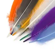 25Pcs Colorful Feathers Soft Elegant Natural Feathers For Craft Decoration
