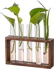 Propagation Stations, Plant Propagation Station 5 Glass Planter with Wooden Stand Test Tubes for Propagating Hydroponic Plants Display Style 1