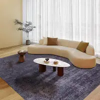 在飛比找Yahoo!奇摩拍賣優惠-現貨 ASOS土耳其地毯別墅輕奢高級感客廳茶幾毯臥室極簡羊毛