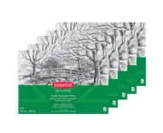 5Pc Derwent Academy Spiral 350 Gsm A3 80Pg Artist/Paint Visual Art Diary/Pad