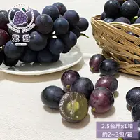 在飛比找PChome24h購物優惠-預購【聚甜】彰化溪湖巨峰葡萄2.5斤禮盒x1箱(約2~3包/