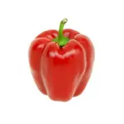 Organic Red Capsicum Whole Kg – Fresh, healthy organic delivery | Doorstep Organics