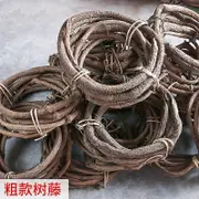 500-600CM Long Alive Tree Branches Rattan Green Leaf Flower Decoration Wall Ceiling Shape Real Vine Branch Wet Tree Vine Setting Thick 4-5M