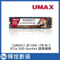 在飛比找蝦皮購物優惠-【UMAX】M1200 1TB M.2 PCIe SSD G