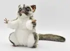 BH7482 HANSA sugar glider 22cm
