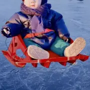 Snow Sled Ski Sled Winter Toy Outdoor Activities Unique Gift for Downhill