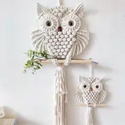 2 Pack Owl Tapestry Hand-Woven Owl Dream Catcher Wall Hanging Macrame Decoration