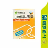 在飛比找樂天市場購物網優惠-【躍獅線上】GT&F加特福 乳鉻膠囊60粒