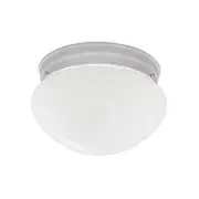 9 in 2-Light Flush Mount Ceiling Light with Frosted Glass Shade, White, 4732