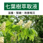 🌳植物萃取液🌳『現貨』 七葉樹萃取液 馬栗樹 HORSE CHESTNUT EXTRACT 100ML 500ML