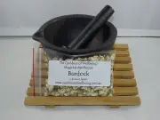 Burdock - Herb Spell supplies Herb Magick Ritual Witch Pagan Wicca