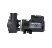 3421821-1A Waterway Executive 4.5 HP Spa Pump 2 Speed 230V 48-Frame