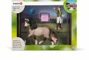NEW SCHLEICH 42270 Andalusian Horse Care Set - RETIRED - Fence Groom Case Brush