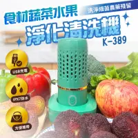 在飛比找momo購物網優惠-【PANATEC 沛莉緹】食材蔬菜水果淨化清洗機(K-389