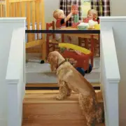 Pet Dog Fence Gate Safety Enclosure - The Ingenious Mesh Magic Pet Supplies