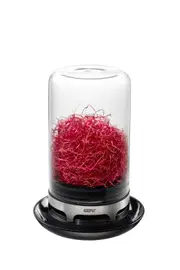 Bivita Sprouting Jar (Clear/Black) - 12.8 x 18.4cm