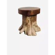 Solid Teakwood Tree Trunk Stools