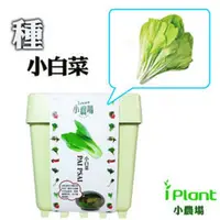 在飛比找蝦皮購物優惠-【橘子田】iPlant小農場~小白菜