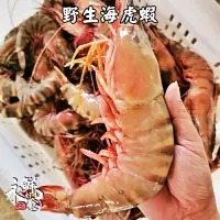 在飛比找樂天市場購物網優惠-【永鮮好食】限量 野生海虎蝦 海草蝦 手臂蝦 肥豬蝦(1kg