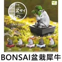 在飛比找蝦皮購物優惠-BONSAI 盆栽犀牛 扭蛋 轉蛋 犀牛盆栽 迷你盆栽 小盆