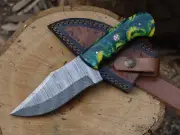 Hand Made 9"Skinning Knife Damascus Blade Bowie Knife W/Sheath _BL-3065
