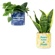 [About Face Design] Tie Dye Planter (Medium) - Good Times Grow