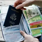 Travel Pouch Ticket Passport Credit Card ID Document Organizer Holder Bag Purse
