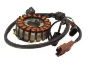 Stator Piaggio Vespa GT GTS GTV 250 300 404010605#4