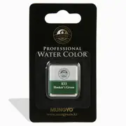 Mungyo Professional Watercolour Paint Half Pan - Hookers Green 833