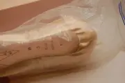 NIB Bloch S0131L Serenade Pointe Shoes $111.00 3 B Pink Not Returnable