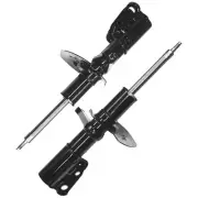 Front Strut Assembly For Buick Skylark & Chevrolet Beretta Corsica Pair (for: Chevrolet)