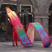 Dragon Dance Colourful Dragon Dance for Adults Traditional 3D Dragon Poi Silk Flowy Shaking & Flinging Chinese Dragon Ribbon Streamer
