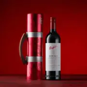 Penfolds Bin 389 Cabernet Shiraz 2019 in Carry Case 750ml