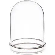 Plymor 3" x 4" Glass Dome Cloche w/ Silver Rim (Silver Rim Glass Tray Base)