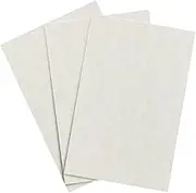 Storm Parchment Cardstock – Multipurpose Parchment Card Stock for Certificates, Menus and Wedding Invitations | Medium Weight 65lb Cover (176gsm) | 11 x 17” (Ledger Size) | 50 Sheets per Pack