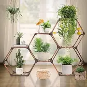 WASUMI Hexagonal Plant Stand Indoor, Plant Shelf Large 7 Tiers Wood Plant Stands Outdoor for Multiple Plants, DIY Flower Potted Plant Holder for Corner, Balcony, Patio, Garden, Living Room