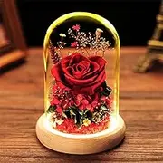 FIZOZI-Eternal Rose Gift Set in Glass Dome - Red | Preserved Rose with LED Light | Valentine's Day Her | Romantic Home Decor | Long-Lasting Beauty (Red)