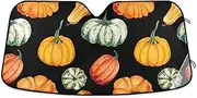 Autumn Pumpkins Front Windshield Sun Shade UV Protection Windshield Sun Shade for SUV Medium